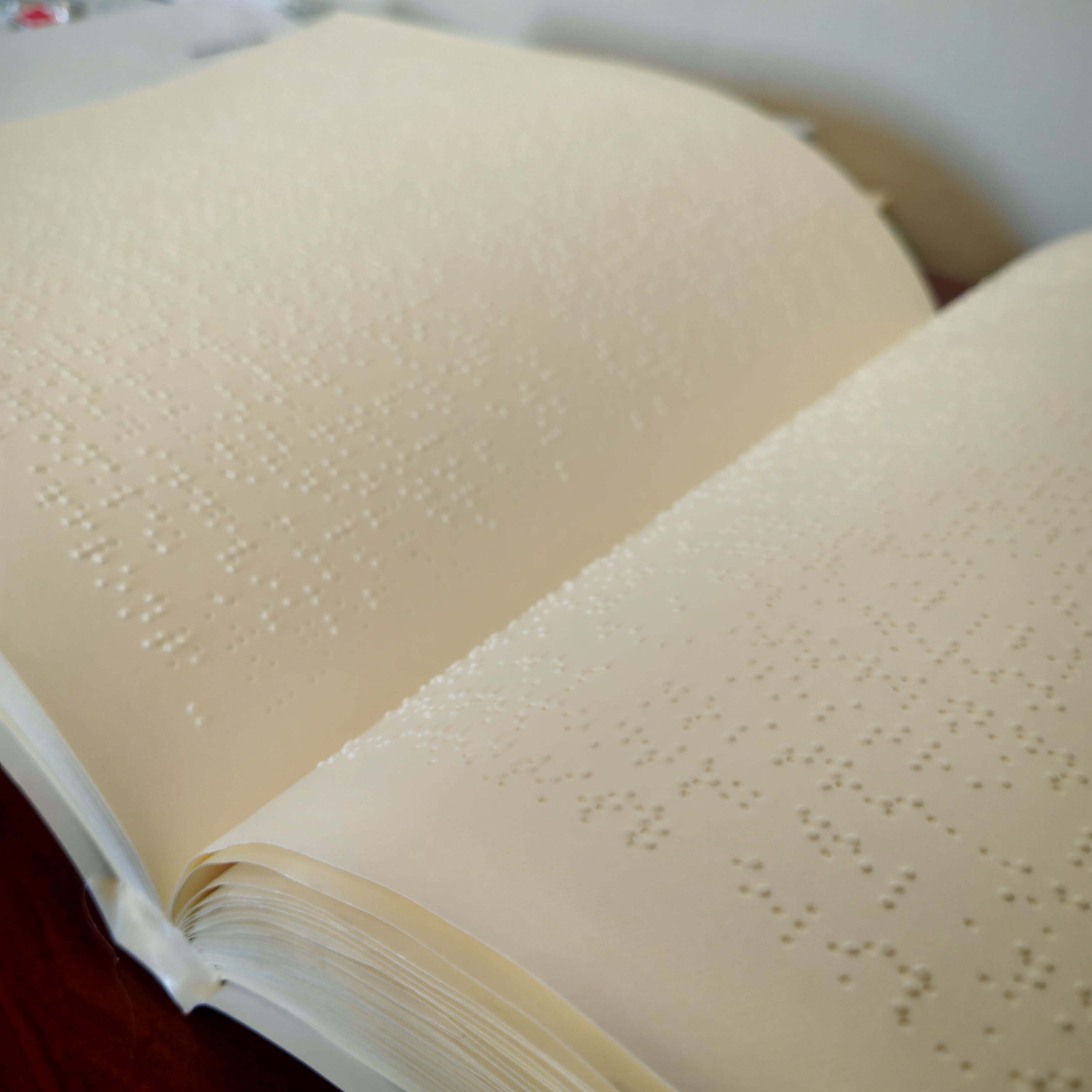 Primo piano di un libro aperto con fitte righe di testo scritte interamente in Braille su carta spessa.